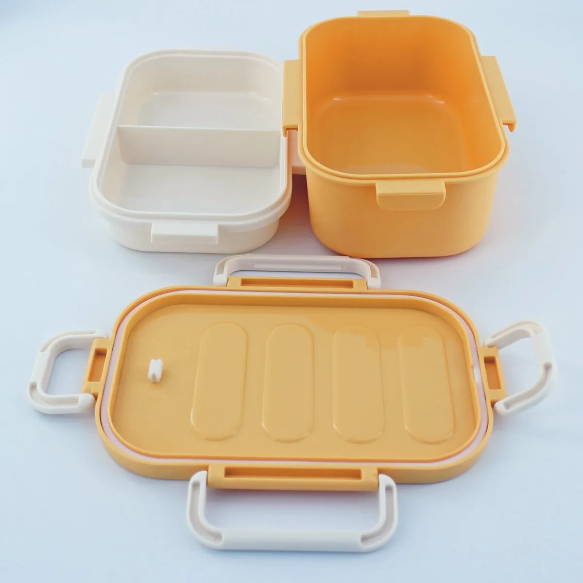 2 Layers Bento Box Lunch Container Leakproof and Durable Lunch Box