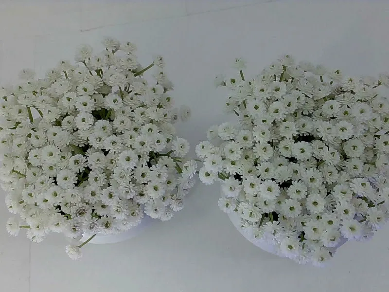 Artificial Baby Breath Flowers in White Ceramic Pots Set of 2