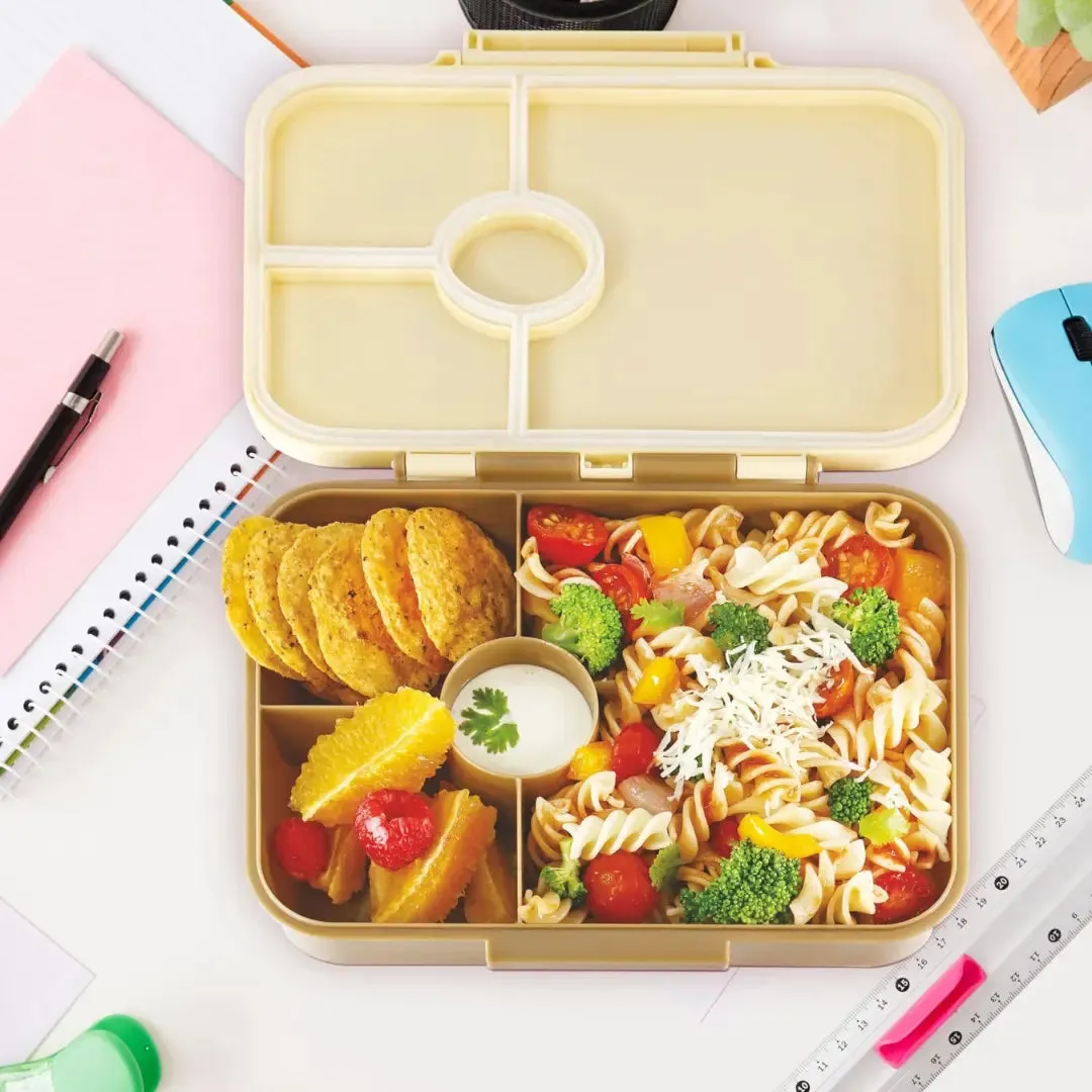 Dino Delight Lunchbox