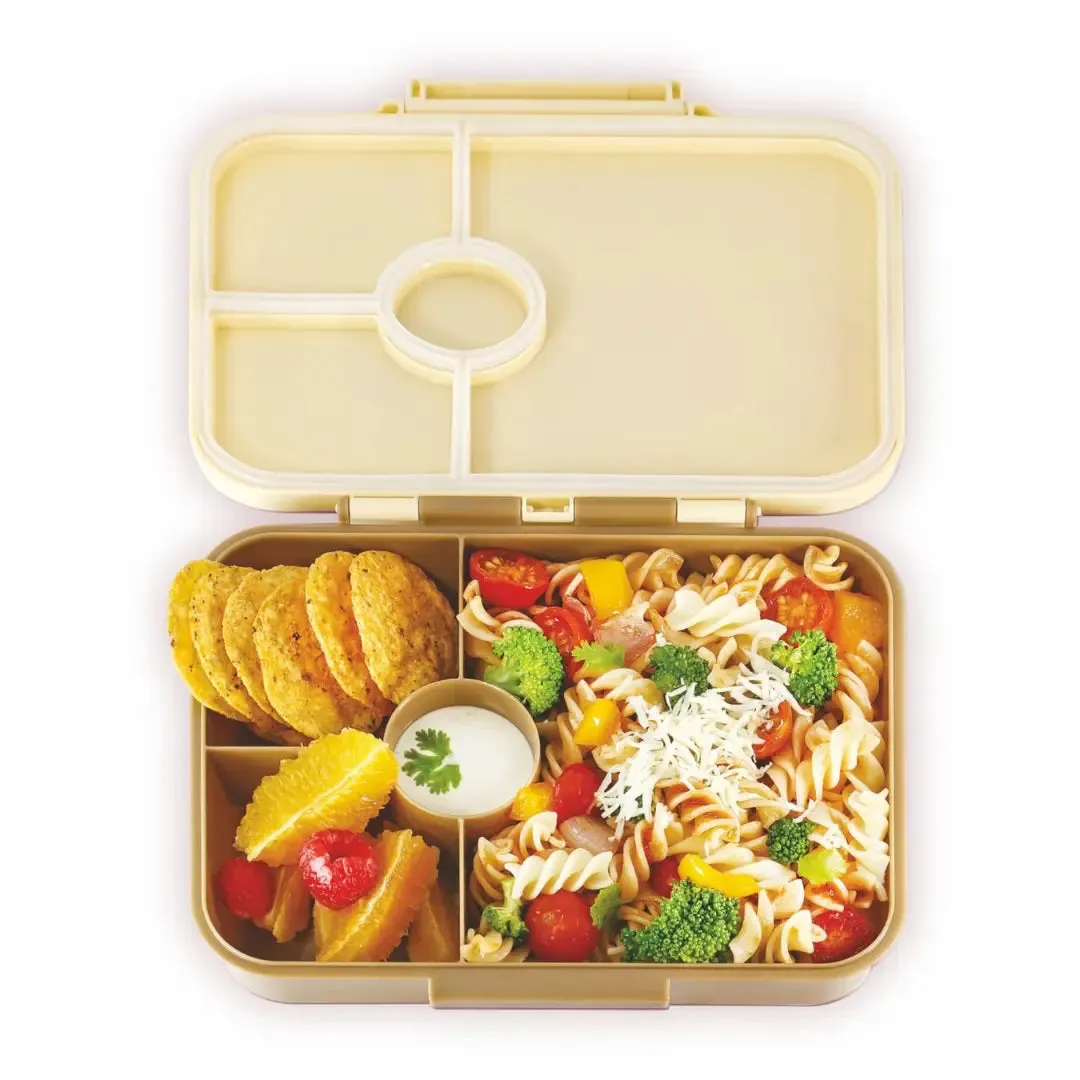 Dino Delight Lunchbox