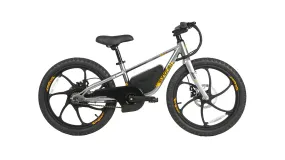 Eunorau EKIDS-20 24V/10Ah 250W Electric Bike